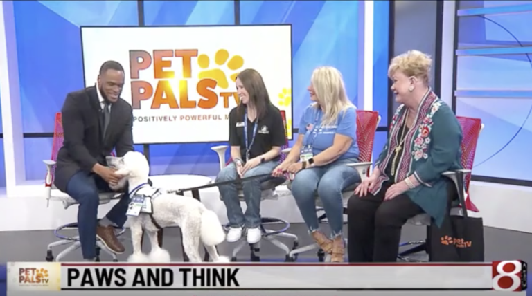 Screen capture from the Pet Pals TV video segment